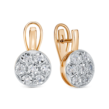 20421-12-00 Серьги