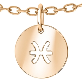 02-308789 Подвеска