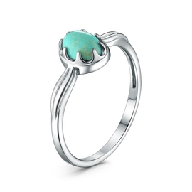 04-201-0266-30 Кольцо