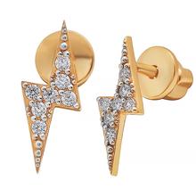 804-02410-10-00-20-00 Серьги (Au 585)