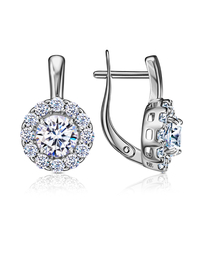 С630-2902 Серьги (Ag 925)