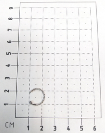 Пирсинг из серебра 